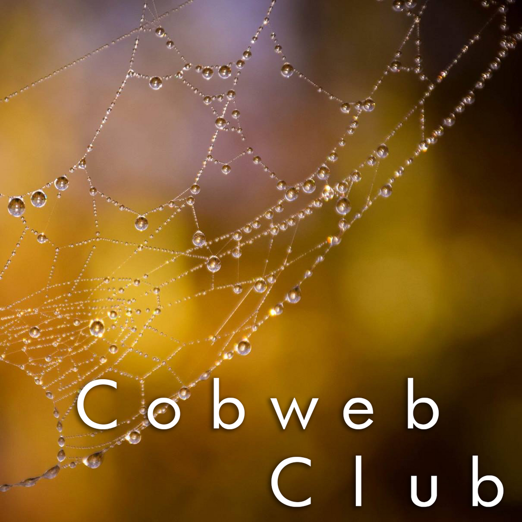 Cobweb Club